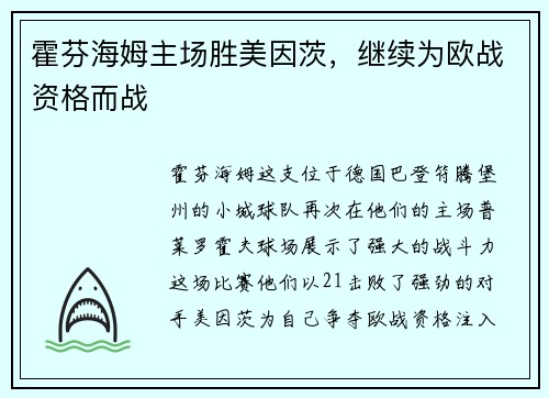 霍芬海姆主场胜美因茨，继续为欧战资格而战